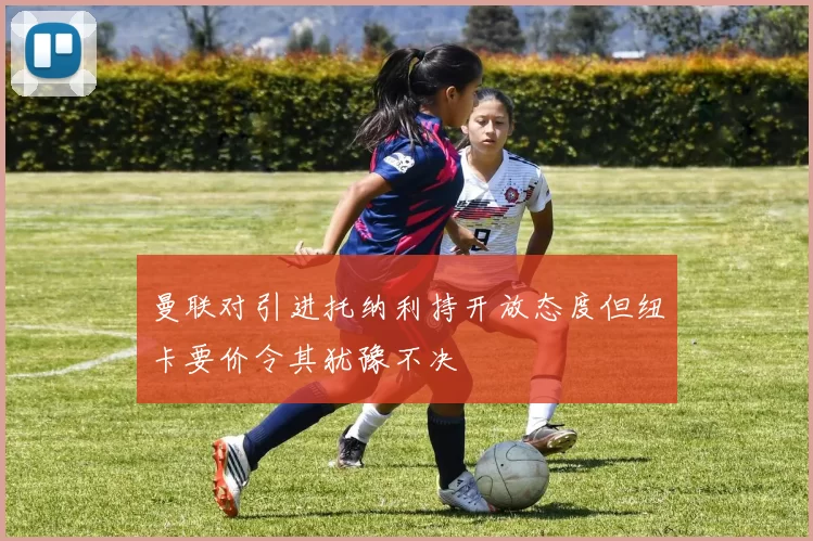曼联对引进托纳利持开放态度但纽卡要价令其犹豫不决