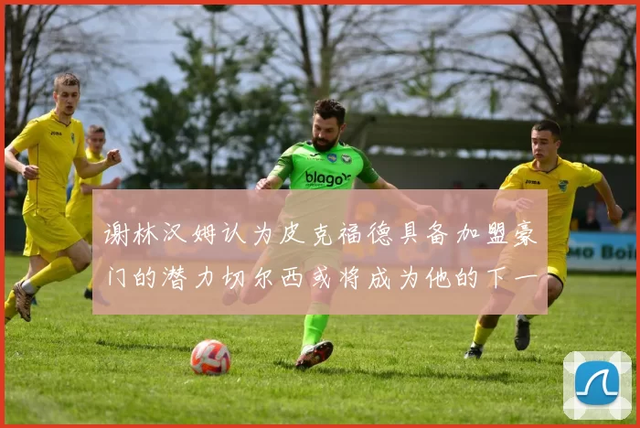 谢林汉姆认为皮克福德具备加盟豪门的潜力切尔西或将成为他的下一个选择